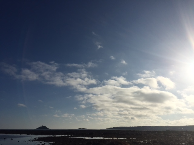 Seaside Foraging